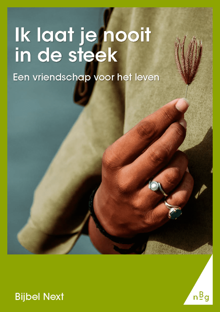 Ik laat je nooit in de steek
